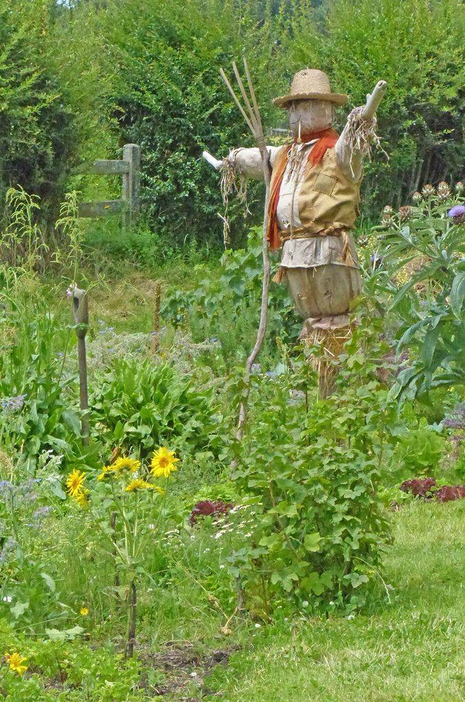Inspiring Garden Scarecrow Ideas
