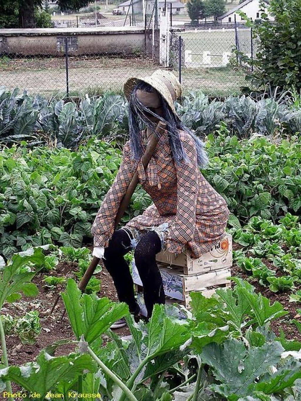 Garden Decor Scarecrows