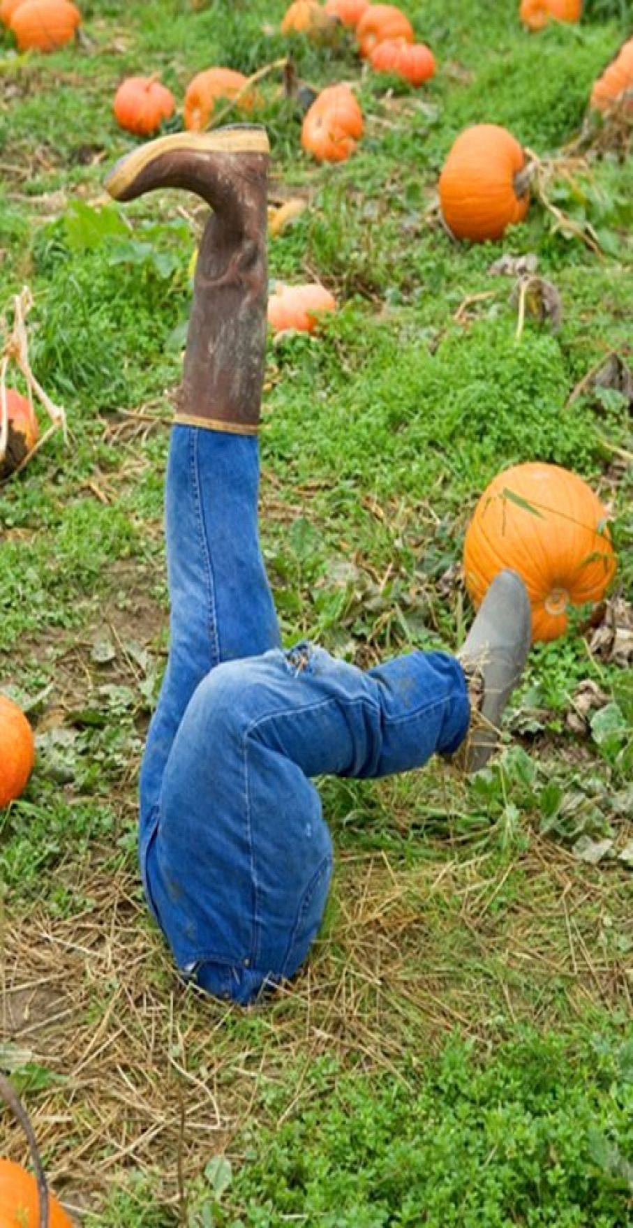 The Best Scarecrow Garden Ideas