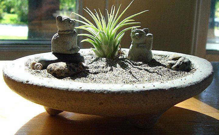 Amazing Zen Garden Ideas