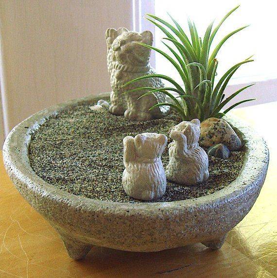 20 Cat Zen Garden Ideas You Must Look SharonSable