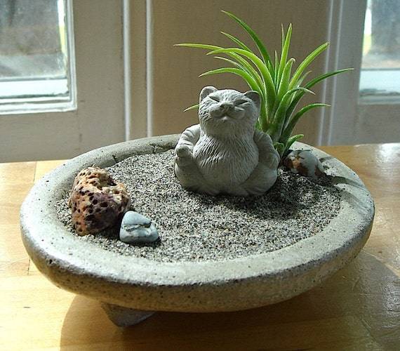 20 Cat Zen Garden Ideas You Must Look SharonSable