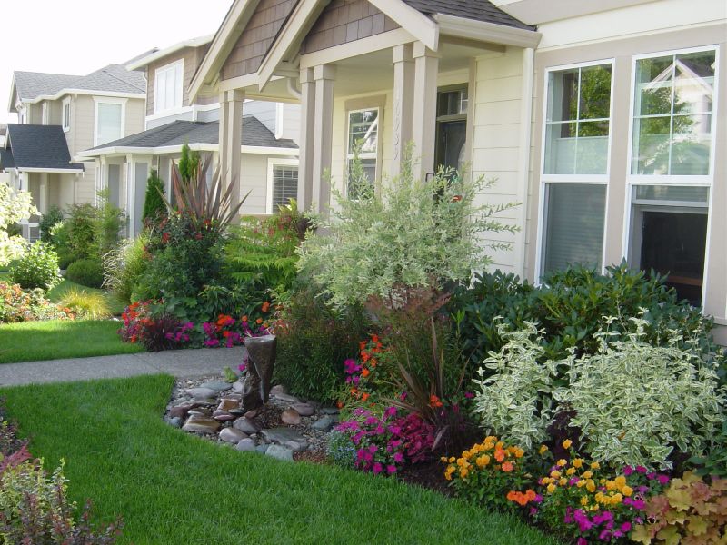 Great Decorative Plants