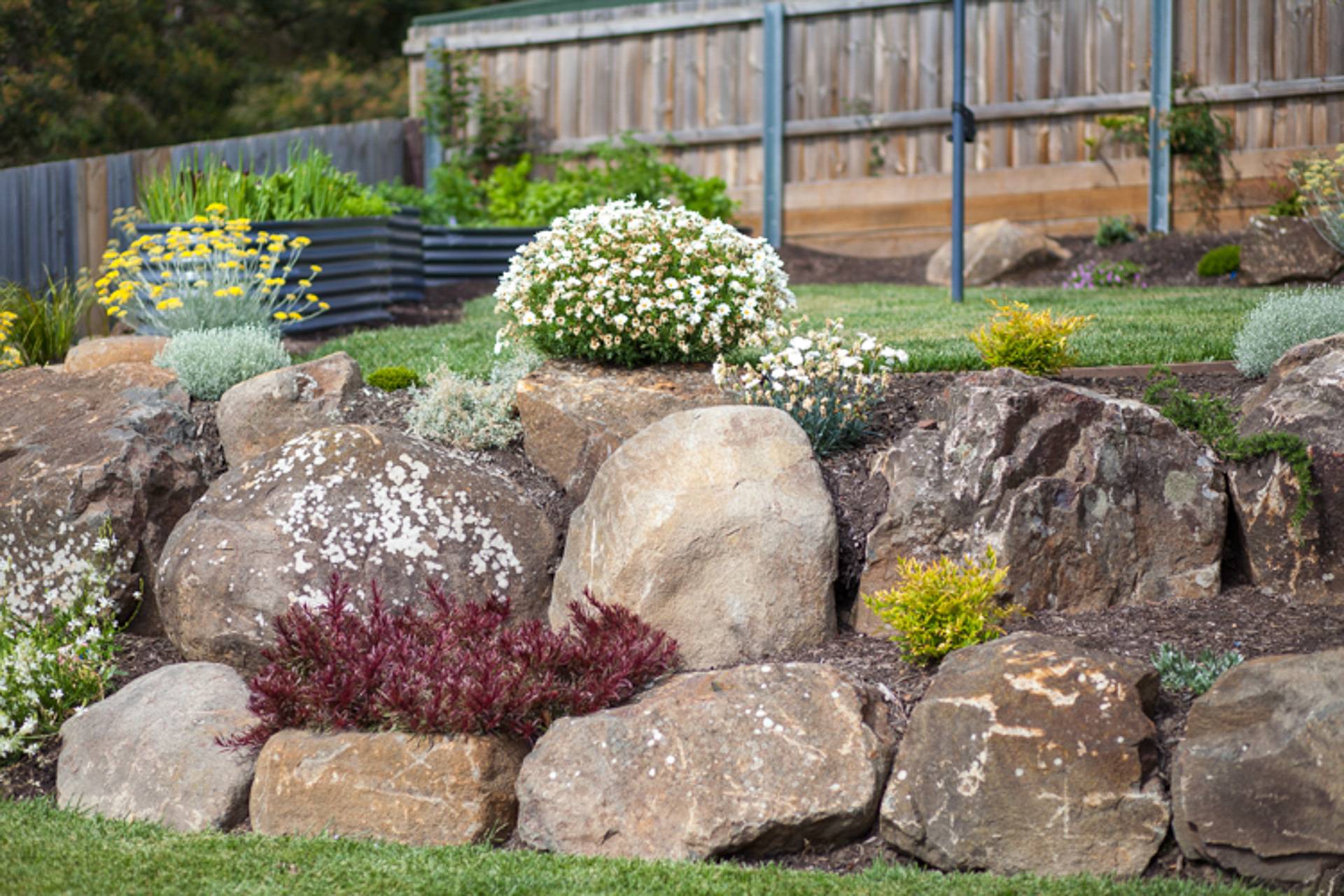 Large Landscape Rocks
