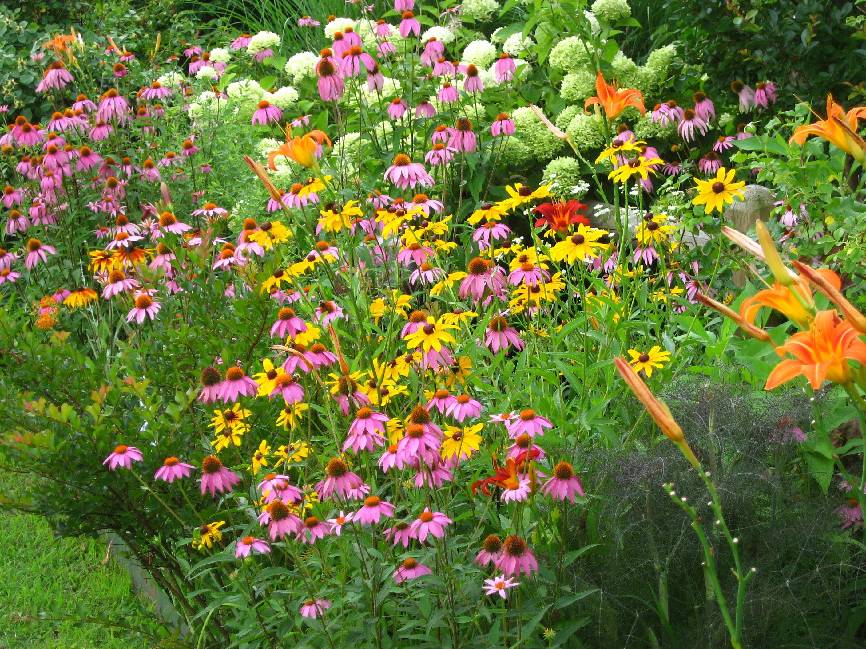 Bee And Butterfly Garden Ideas