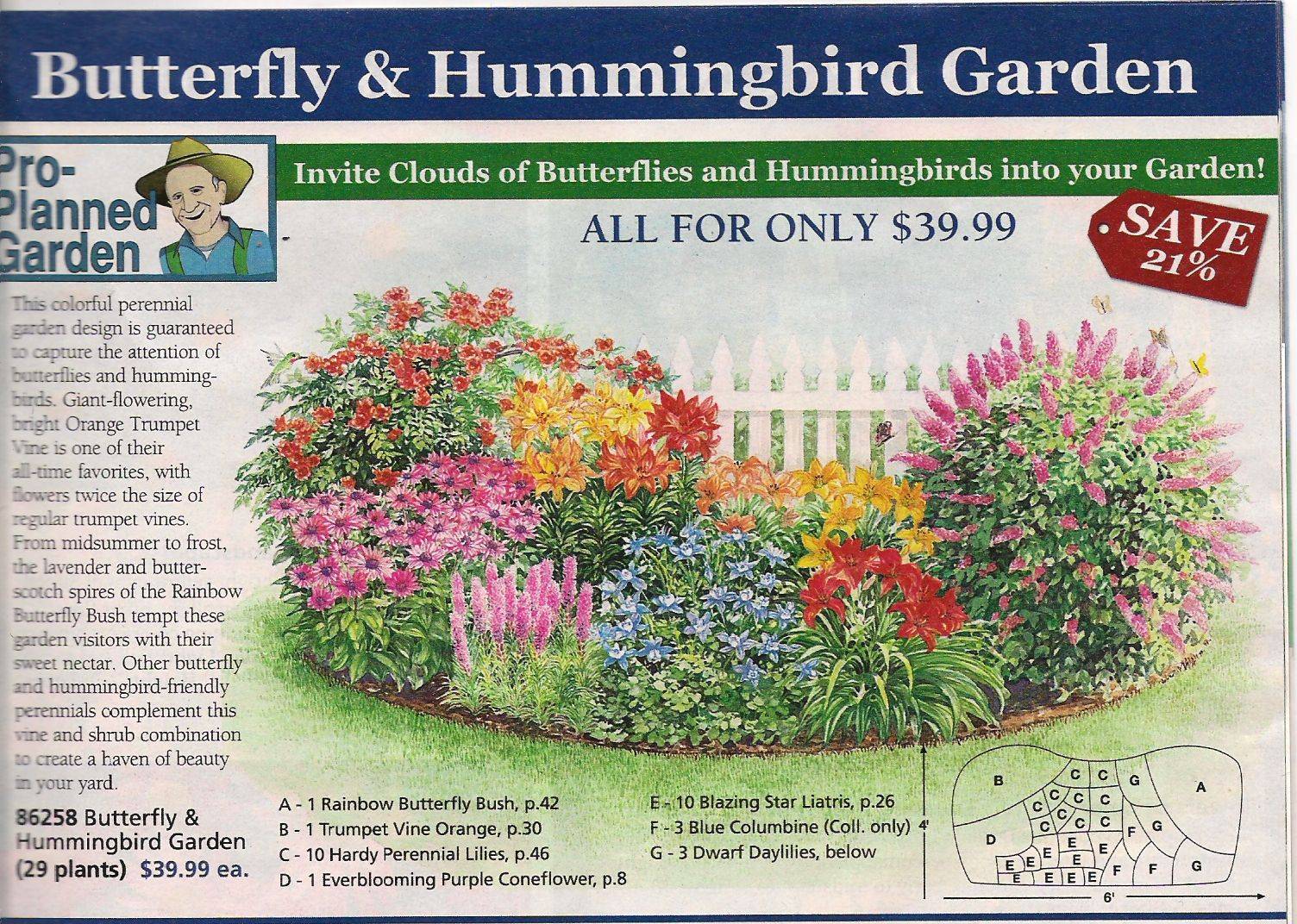 Perennial Garden Plans