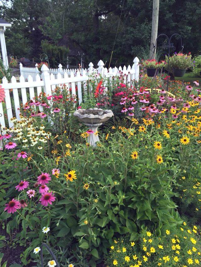 Small Butterfly Garden Ideas Photograph Multitude