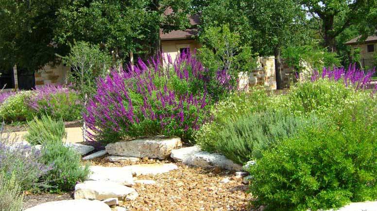 Small Butterfly Garden Ideas Photograph Multitude