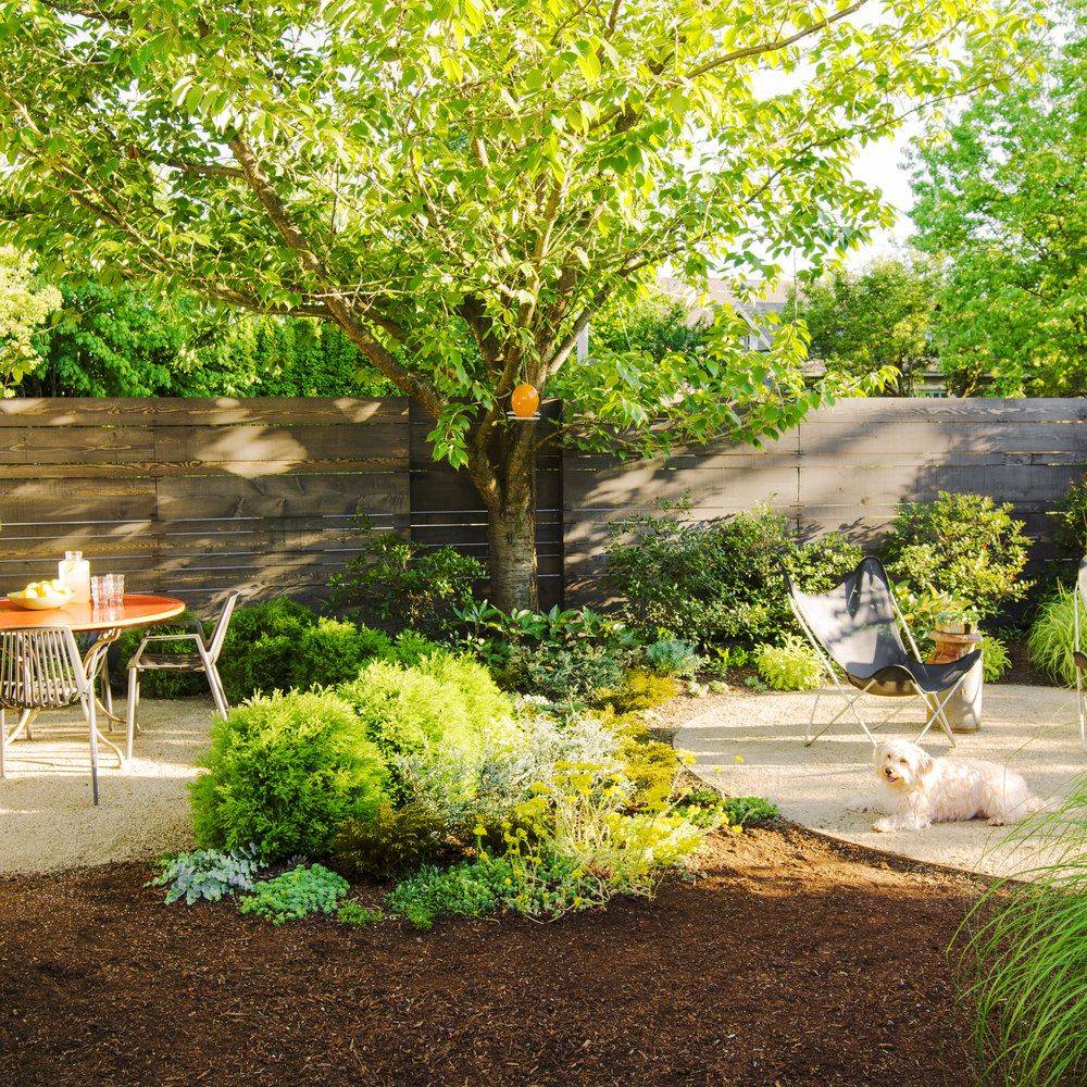 Great Dogfriendly Backyard Landscaping Ideas