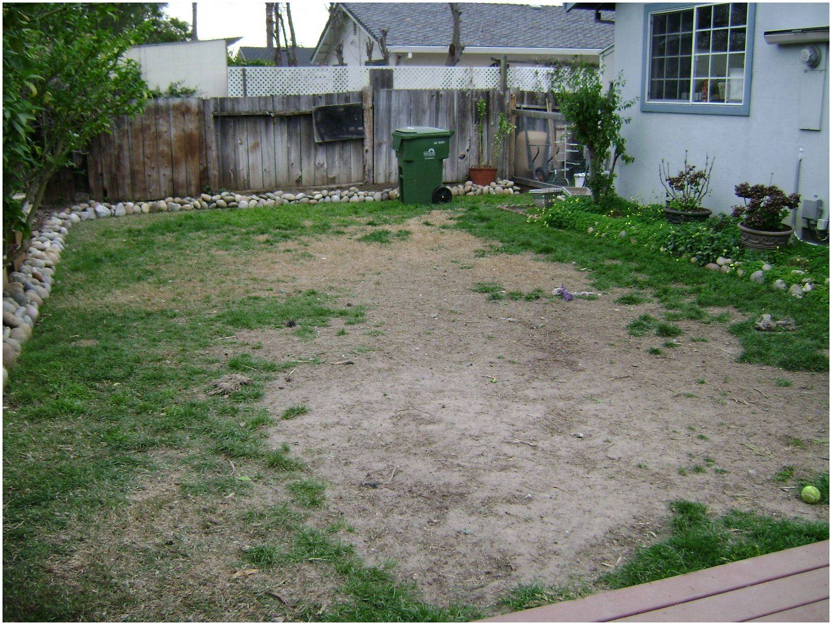 Awesome Backyard Landscaping Ideas Low Maintenance