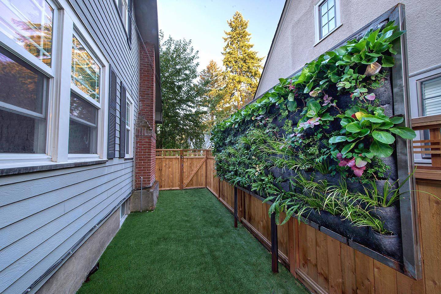 Wonderful Cheap Backyard Ideas Dog Friendly