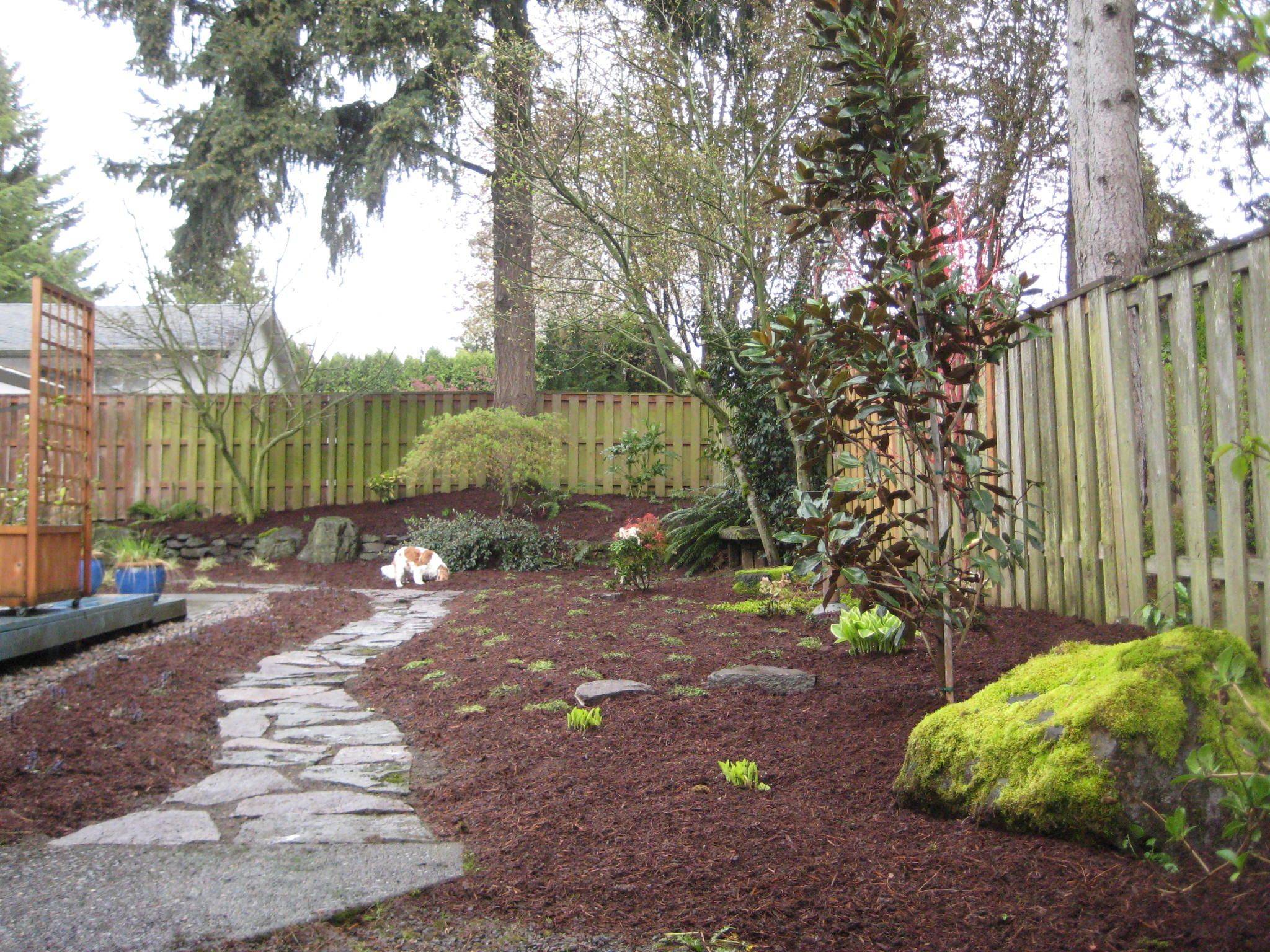 Dog Friendly Landscaping
