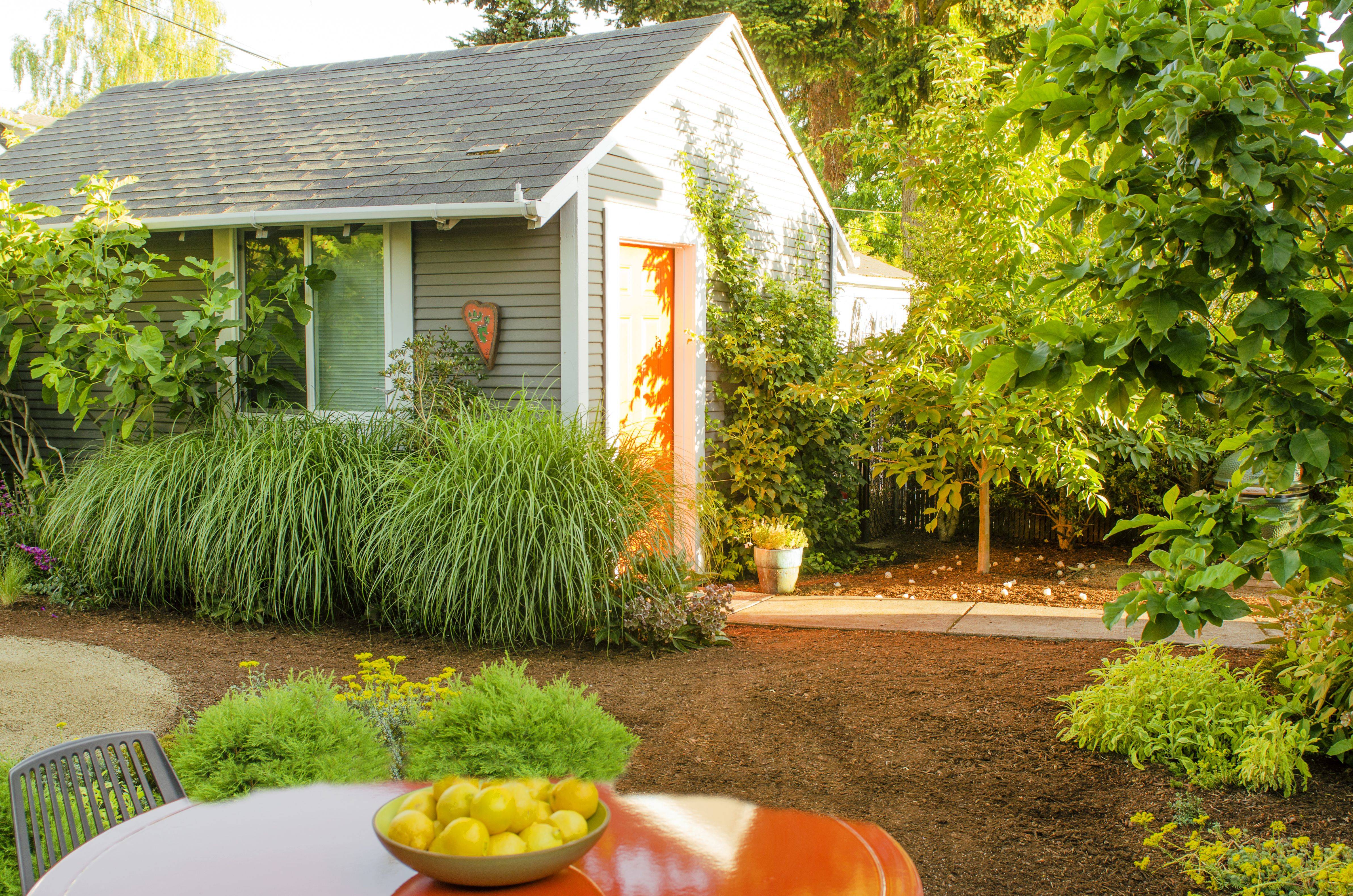 Dogfriendly Garden Design Backyard Landscaping Designs