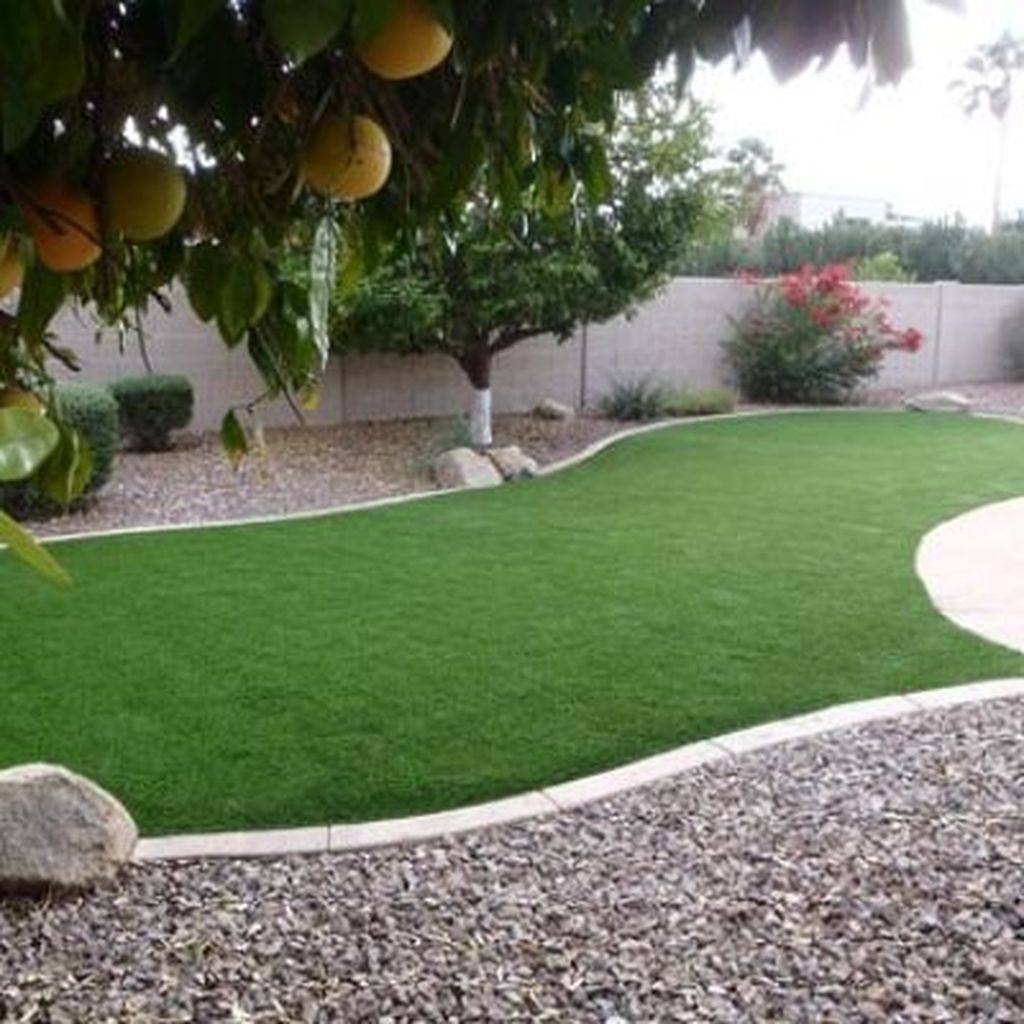 A Dogfriendly Garden Sunset Magazine