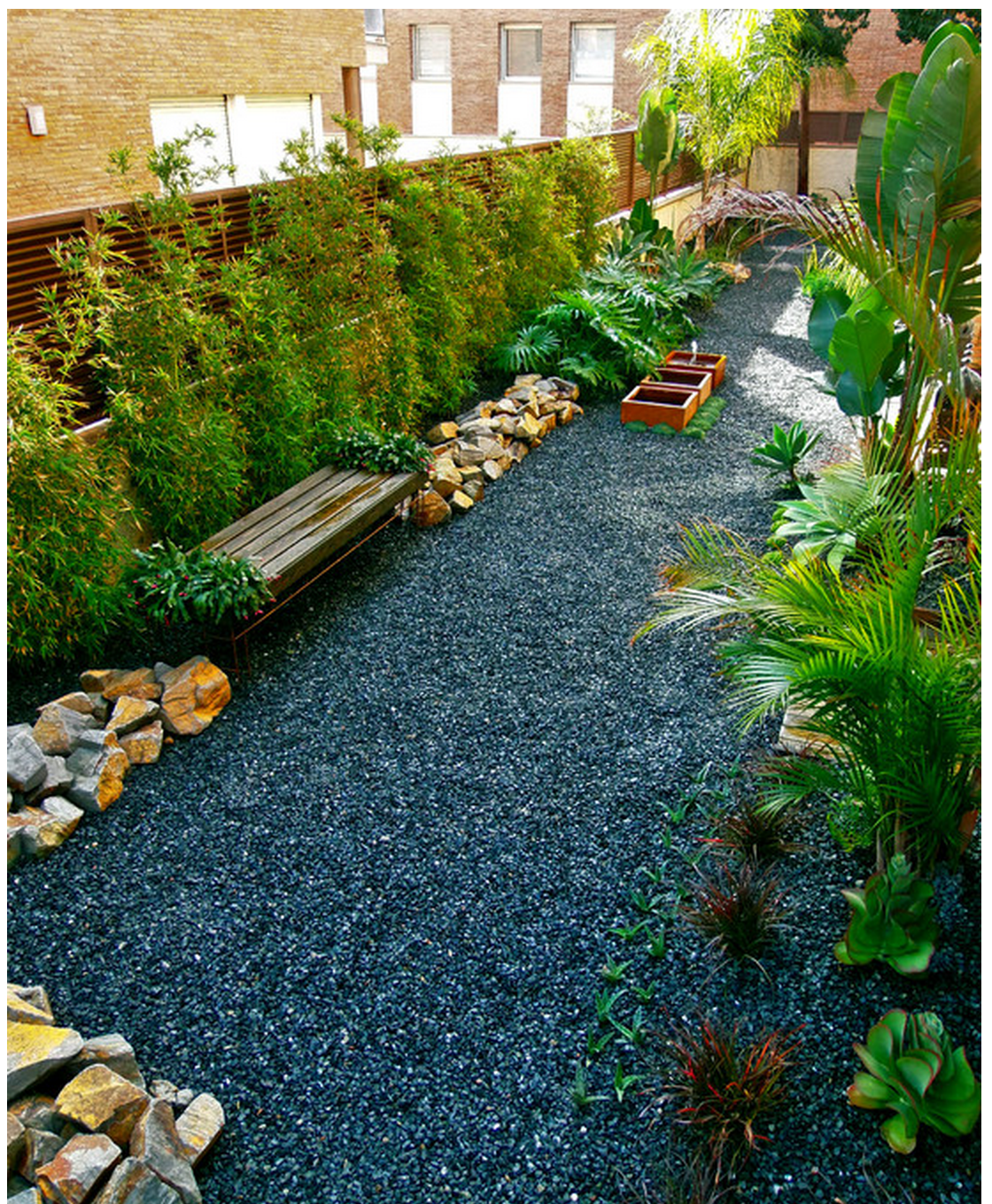 Dog Friendly Backyard