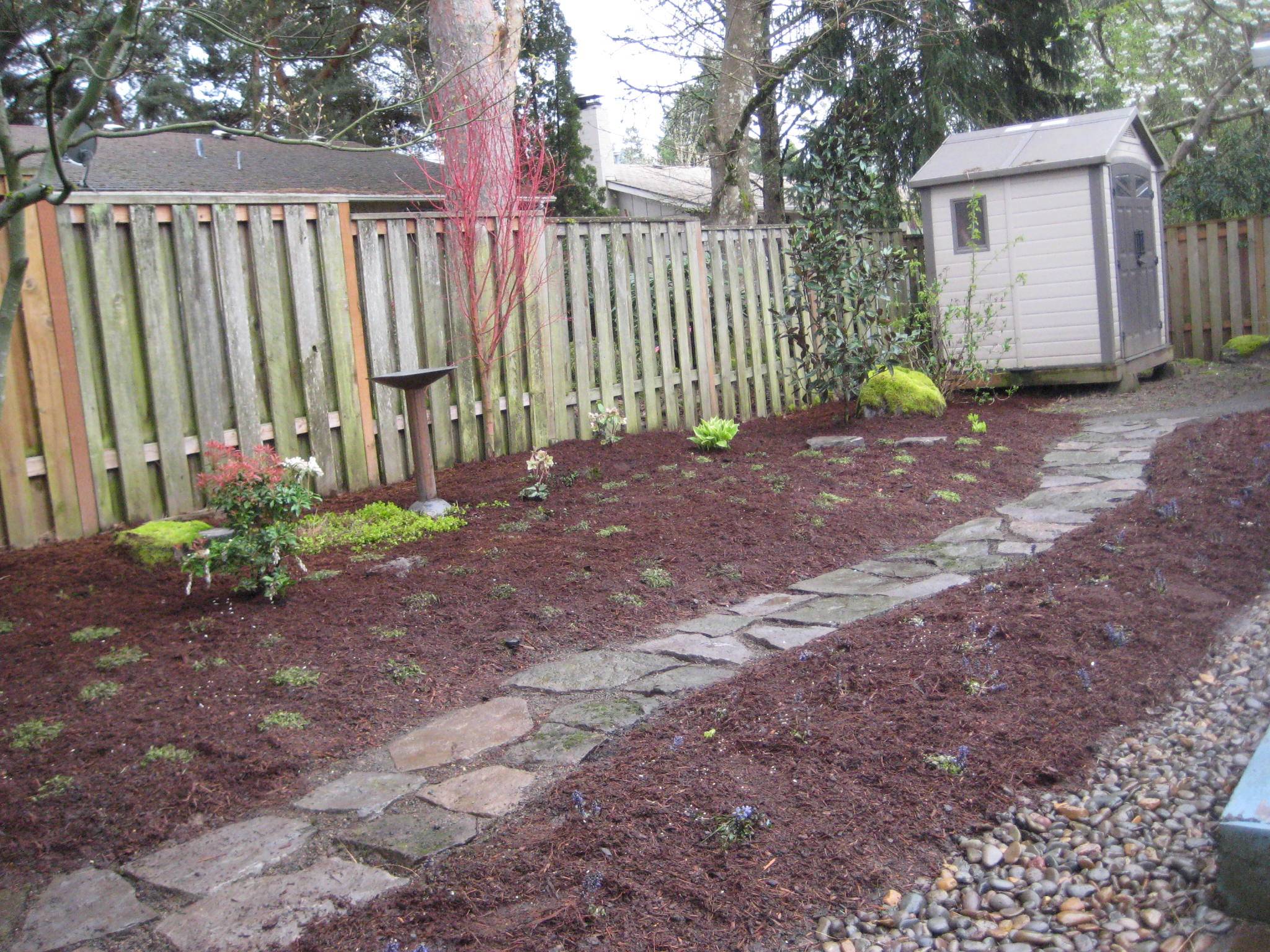 The Best Dog Friendly Garden Ideas