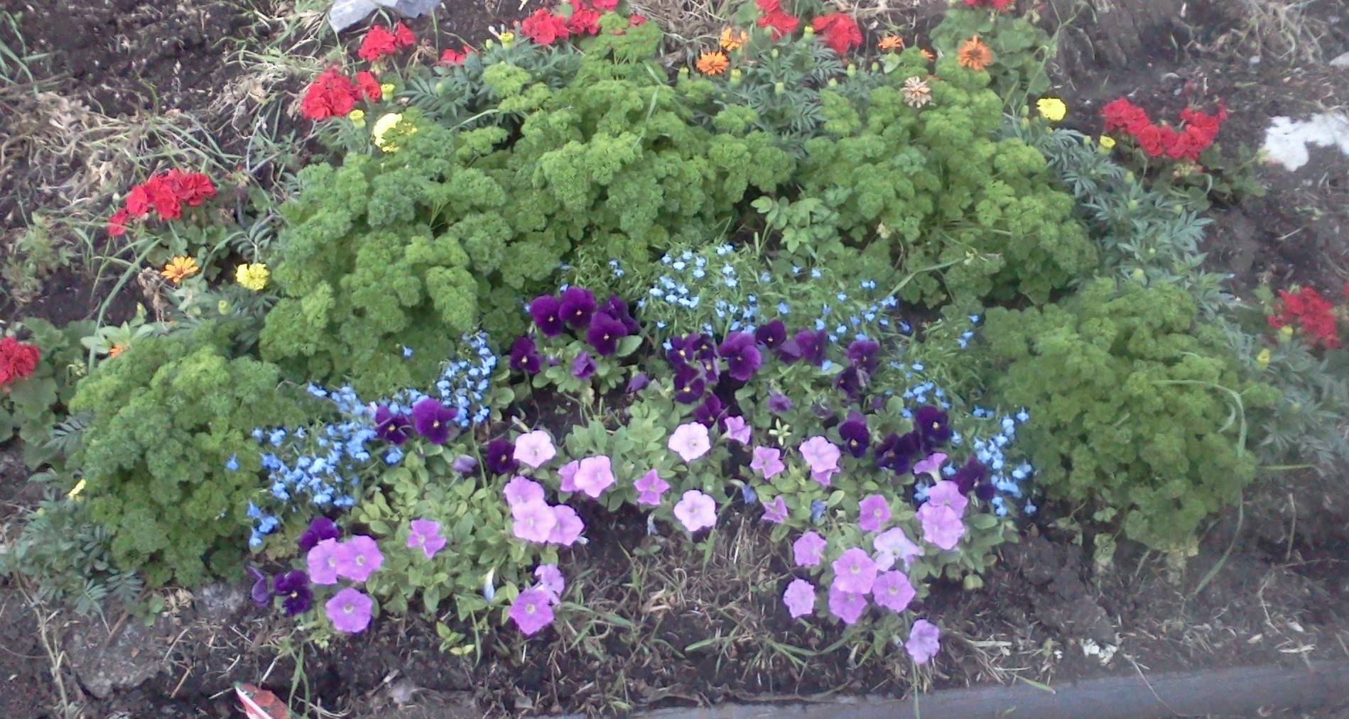 Best Cottage Style Garden Ideas