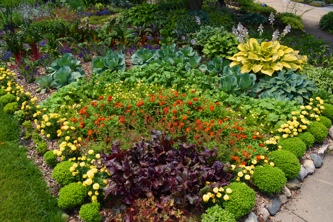 Rainbow Flower Garden Idea