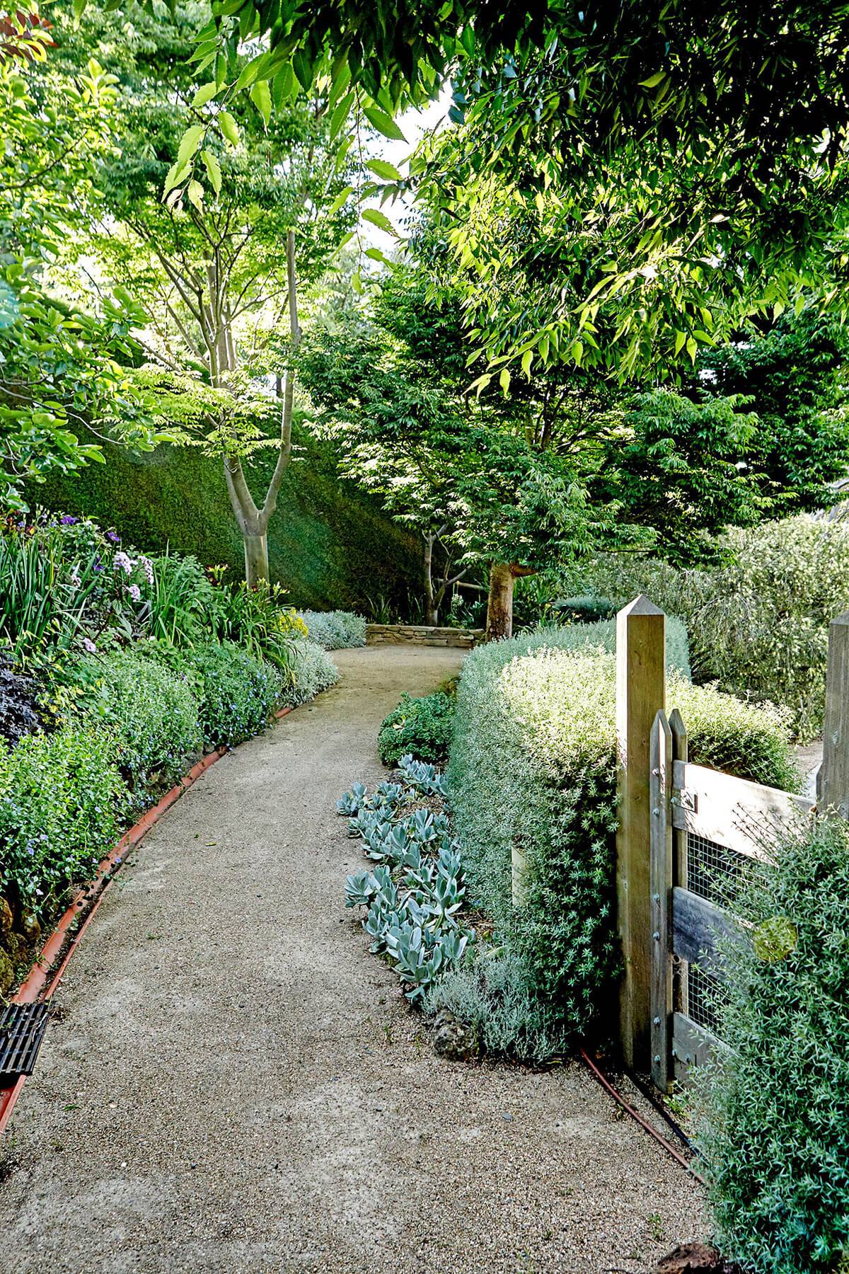 Garden Layout Design Service