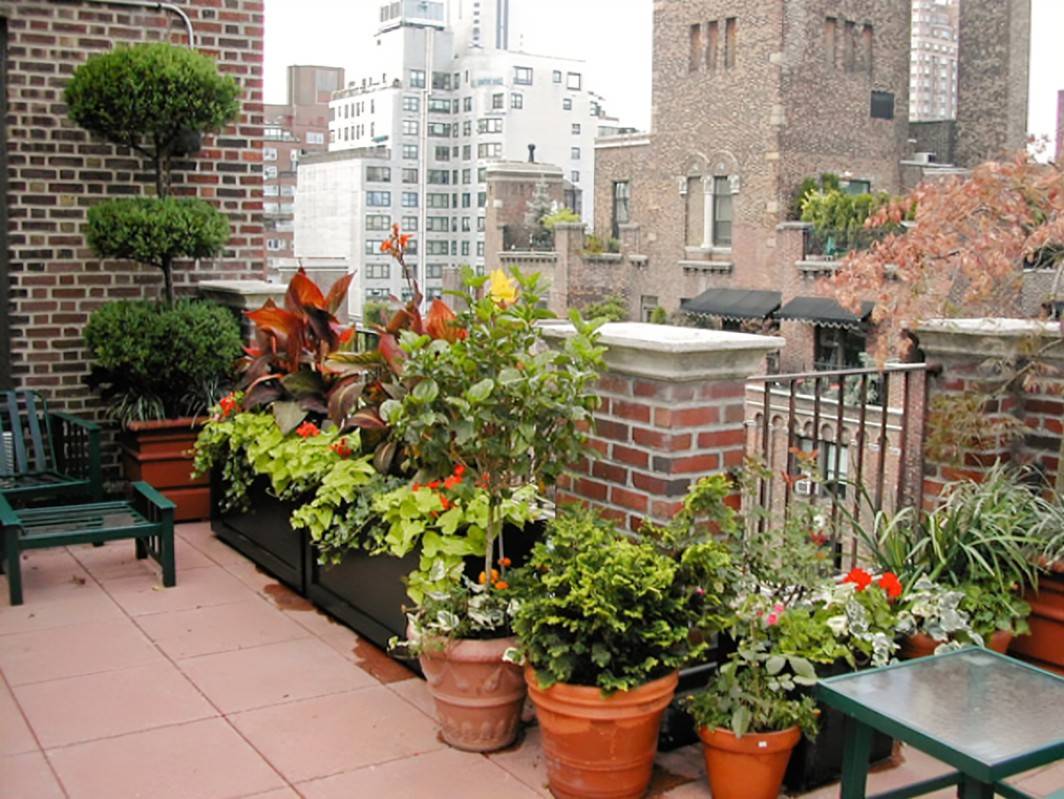 23 Rooftop Flower Garden Ideas Worth to Check SharonSable