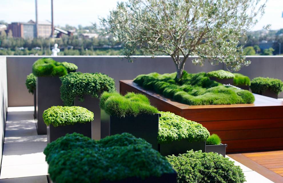 Fresh And Cool Rooftop Garden Designs Interior Vogue
