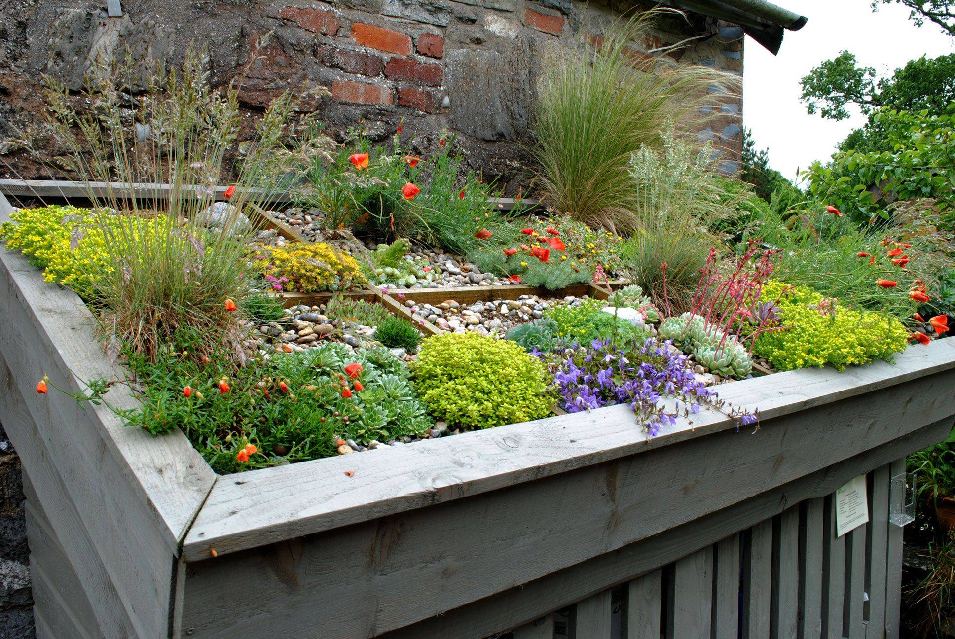 Roof Garden Design Ideas