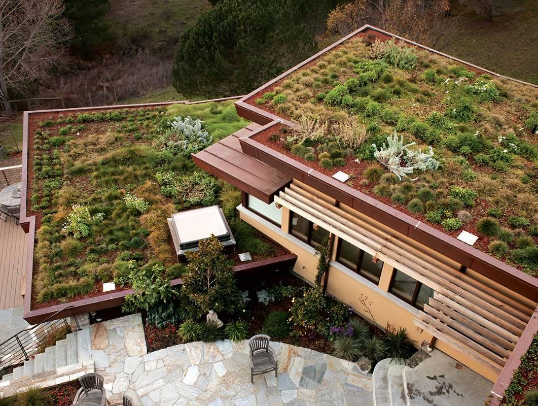 Green Roof Green Roof Garden