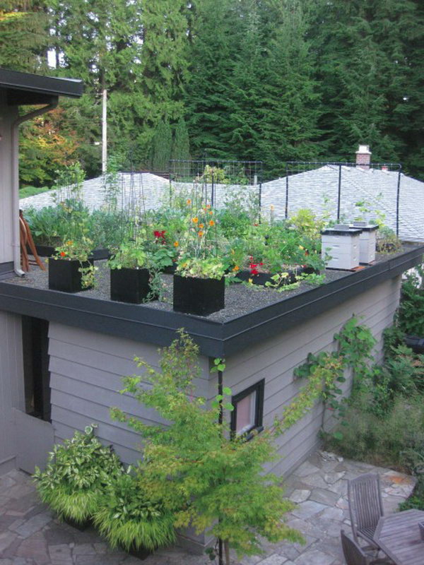 Diy Home Decor Garden