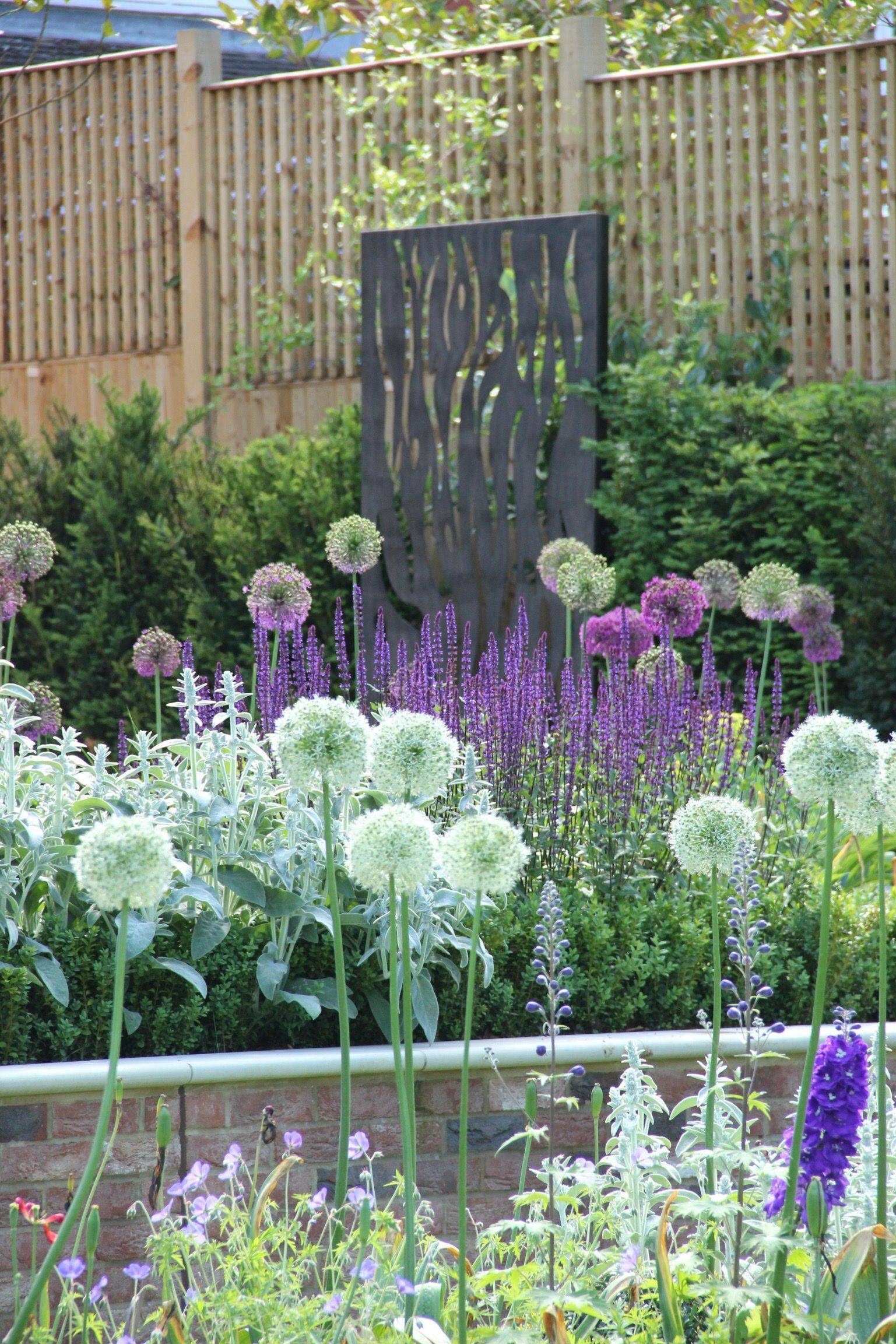 Allium Garden Landscaping