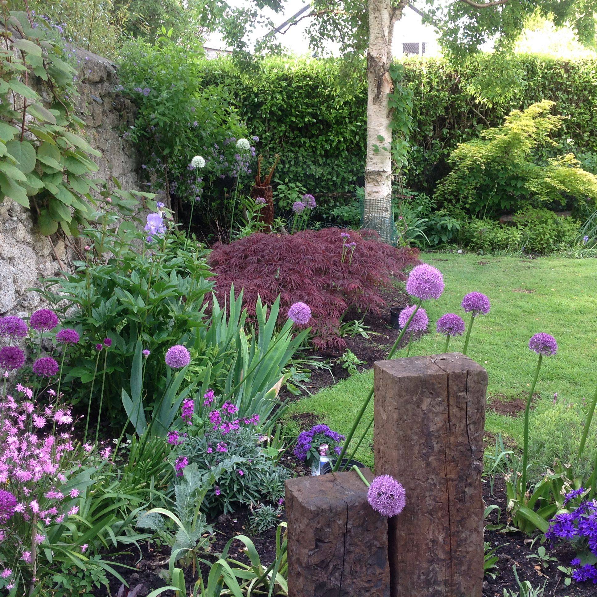 Garden Inspiration