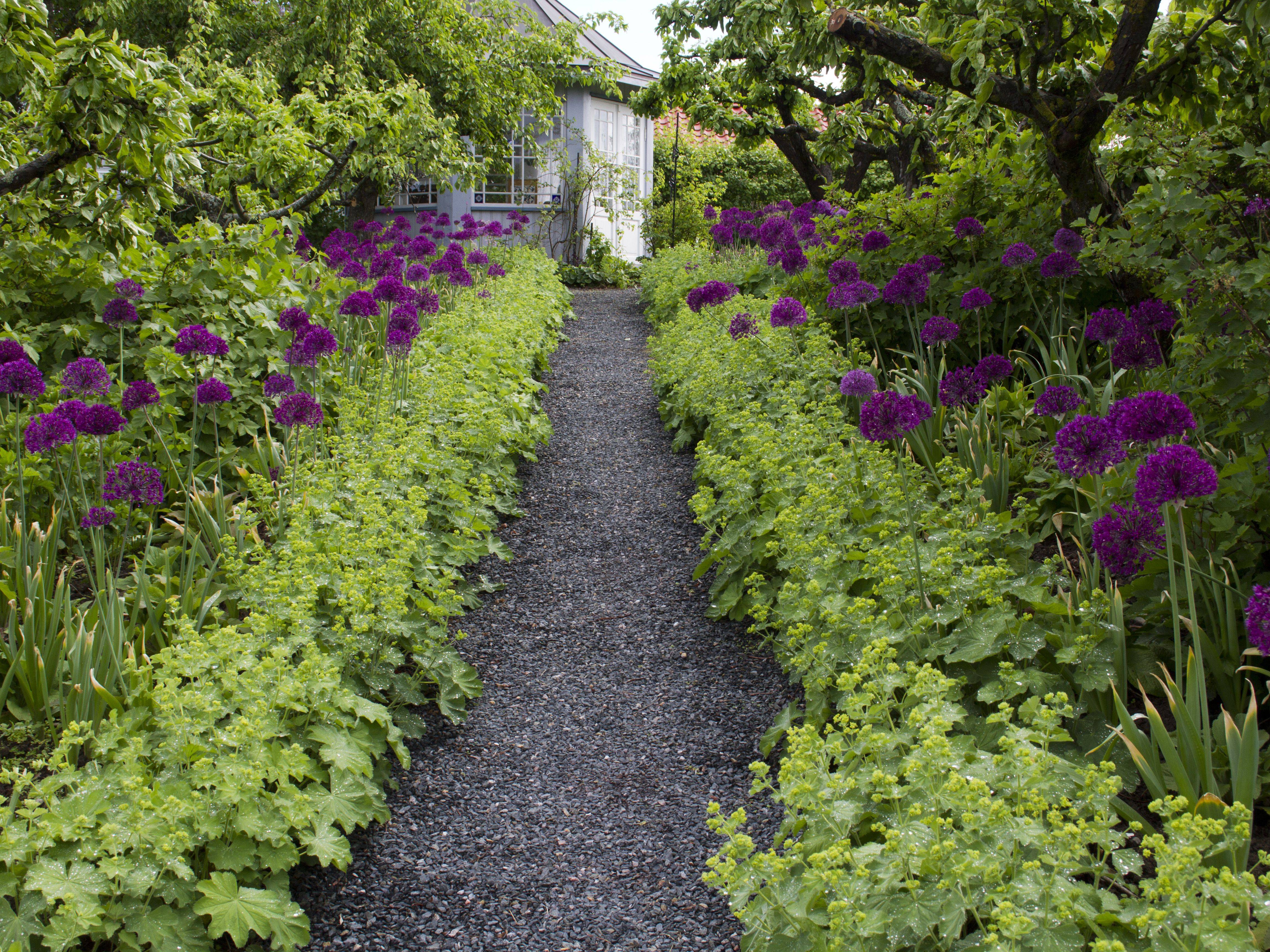 Pin On Front Garden Ideas