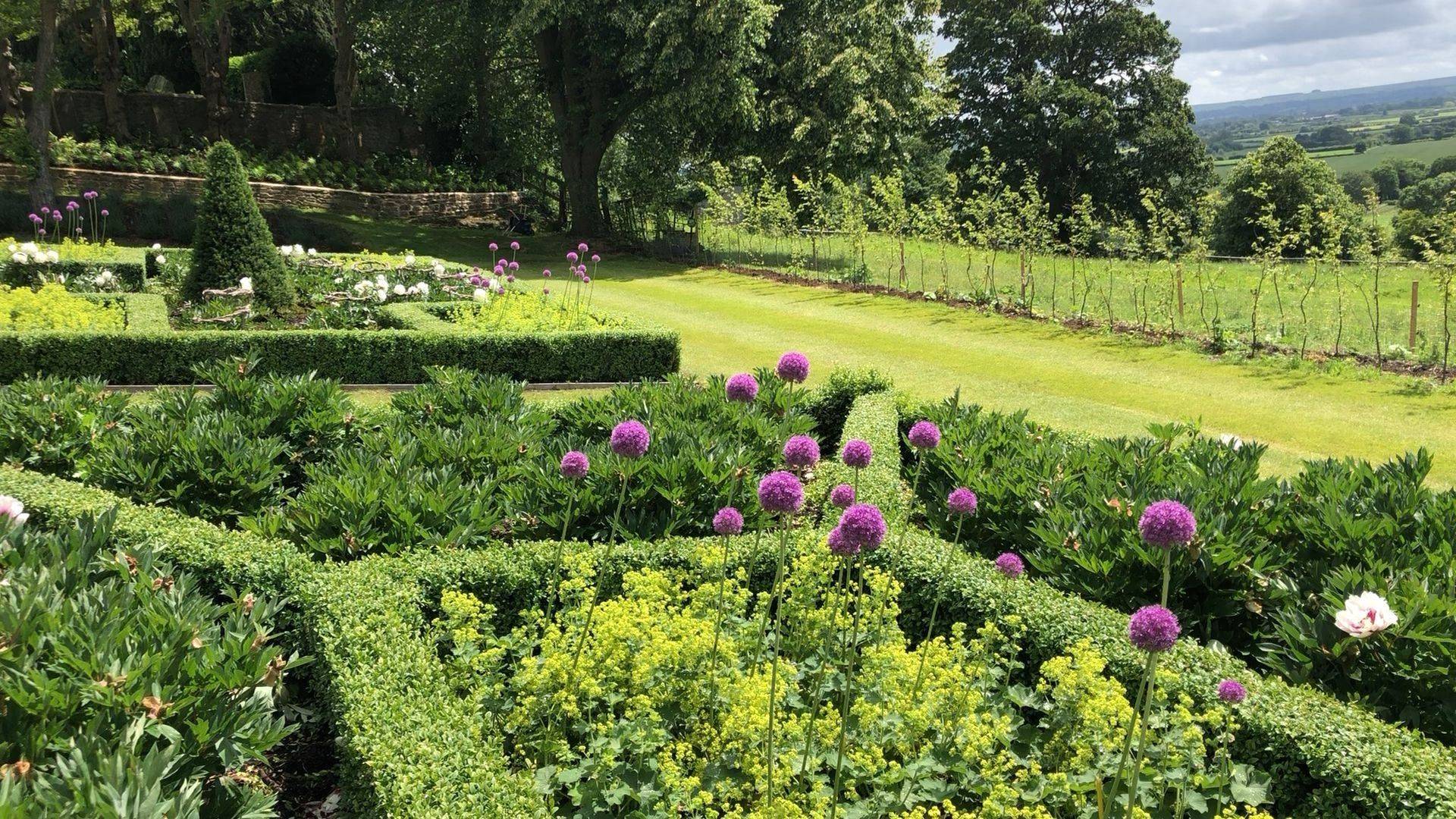 Alliumrosewarnegardens Rosewarne Garden Designs