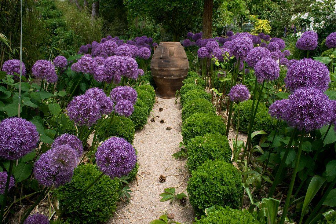 Gardening Tips
