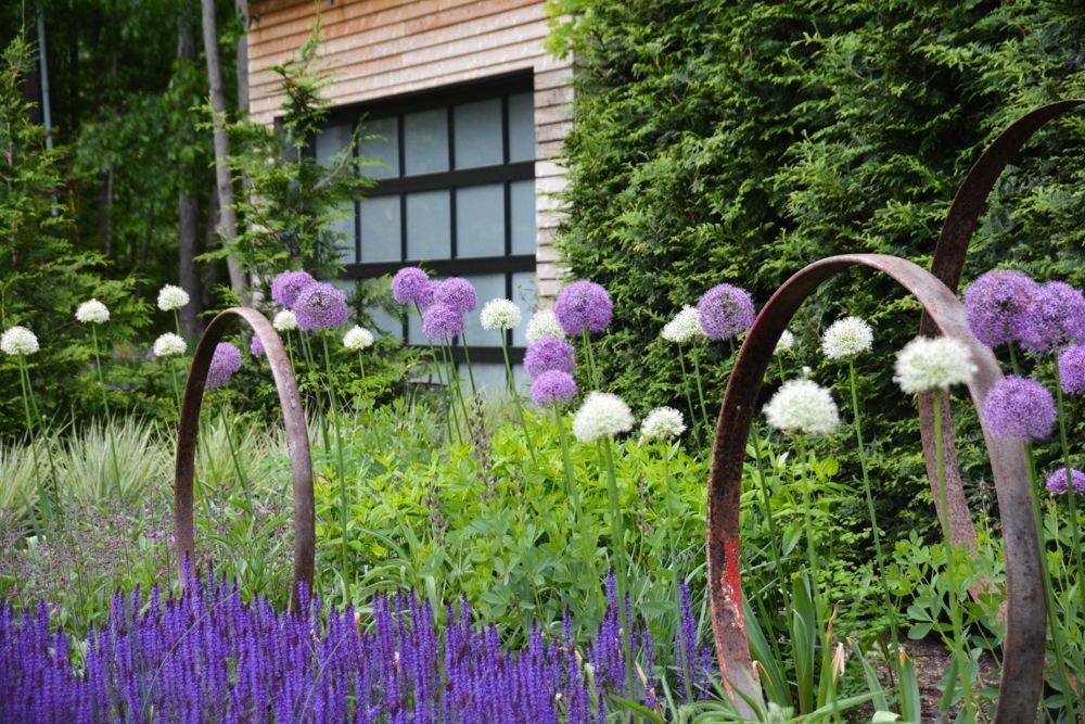 Allium Sculpture Ideas