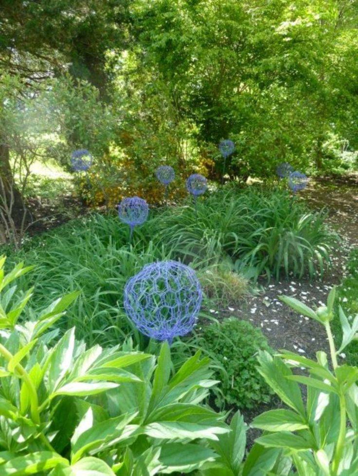 Everlasting Alliums Beautiful Gardens