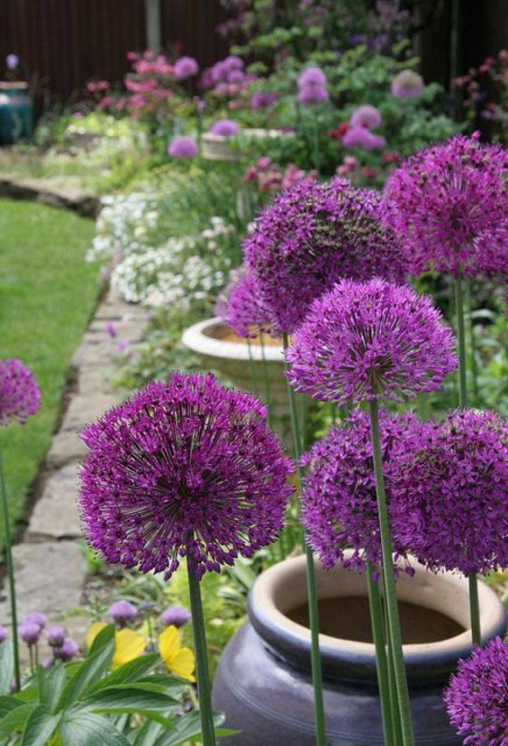 Allium Sculpture Ideas
