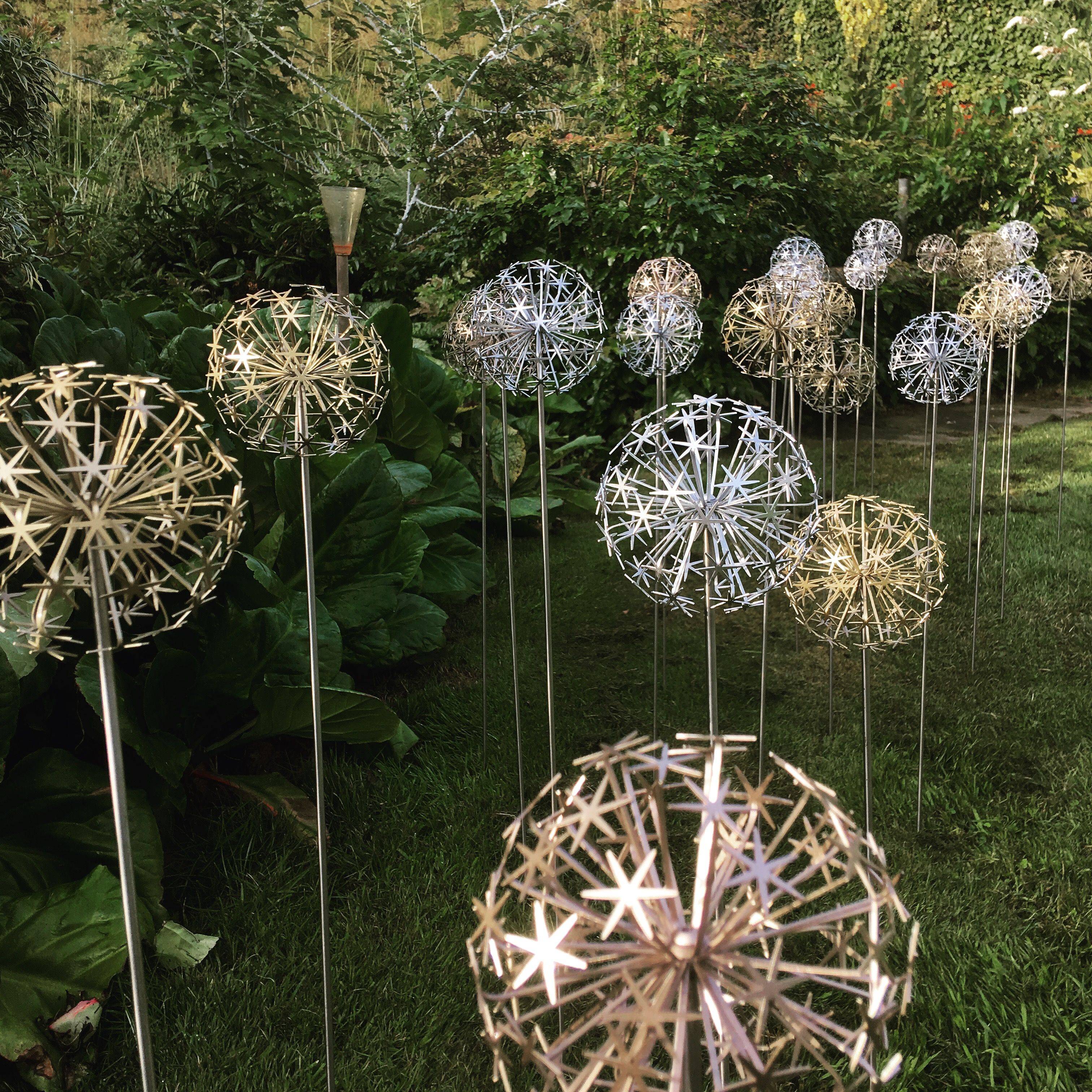 Allium Sculpture Ideas