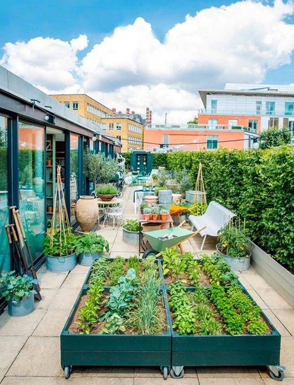 Stunning Roof Garden Ideas