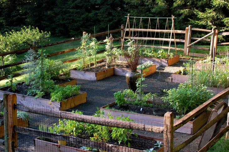 Awesome Rooftop Vegetable Garden Design Ideas