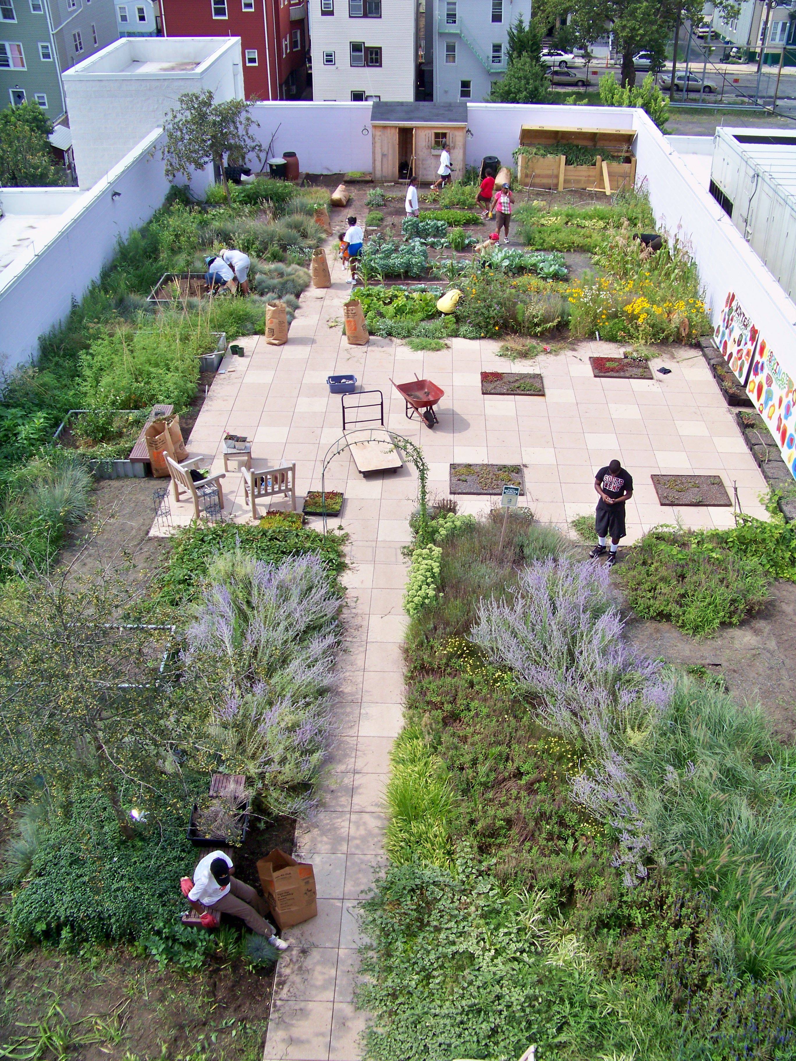 Rooftop Vegetable Garden Bing Images Roof Garden Design