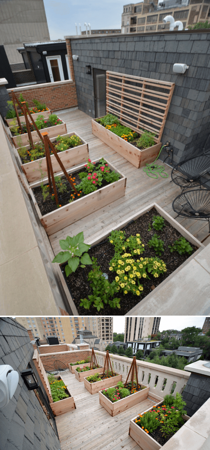 Rooftop Vegetable Garden Ideas