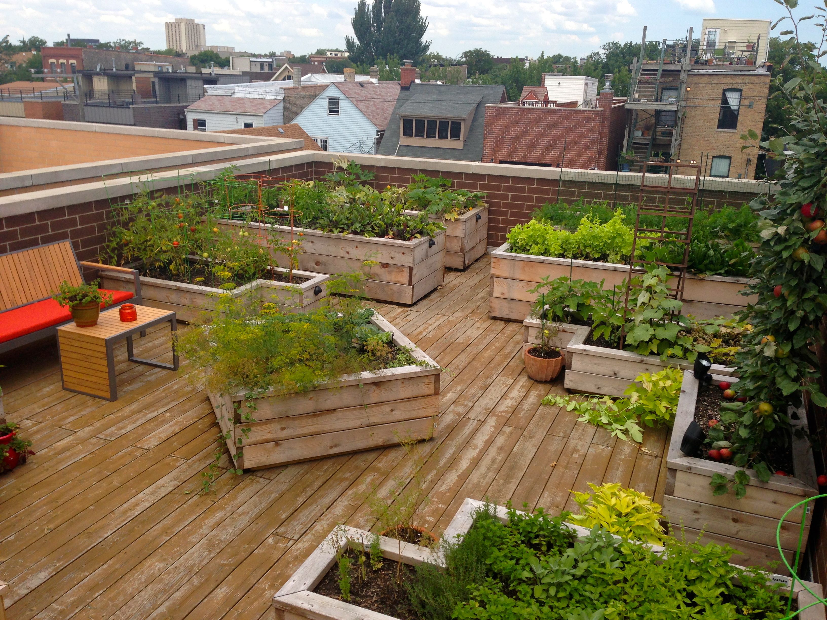 Rooftop Vegetable Garden Ideas