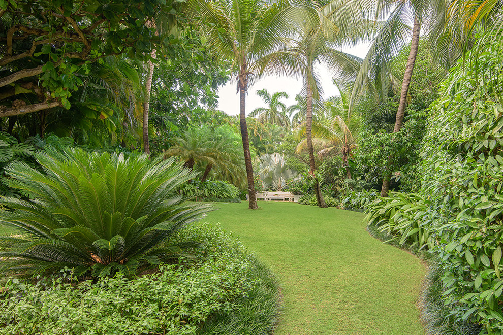 Small Spaces Decking And Tropical Garden Ideas Plants