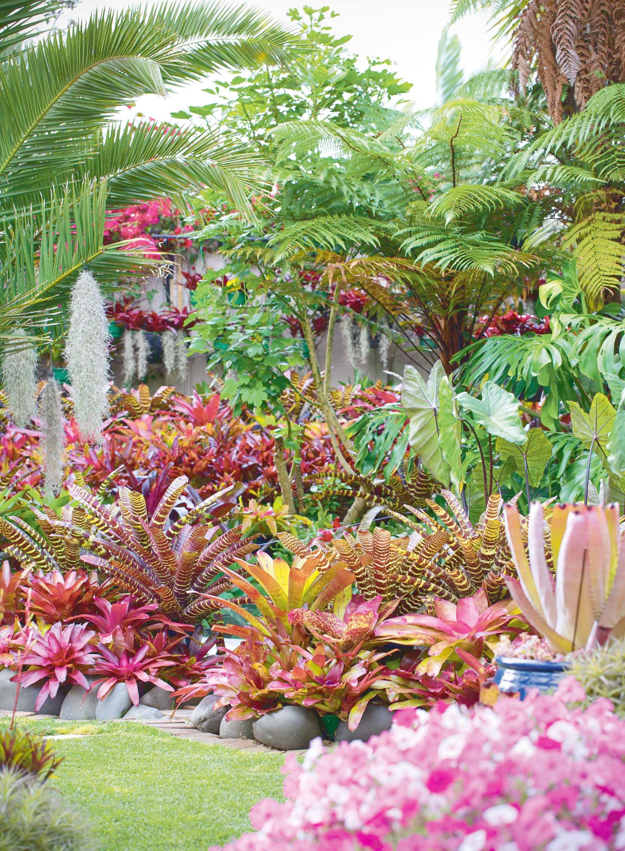 Tropical Style Garden Homify Rooftop Garden Urban Roof Garden