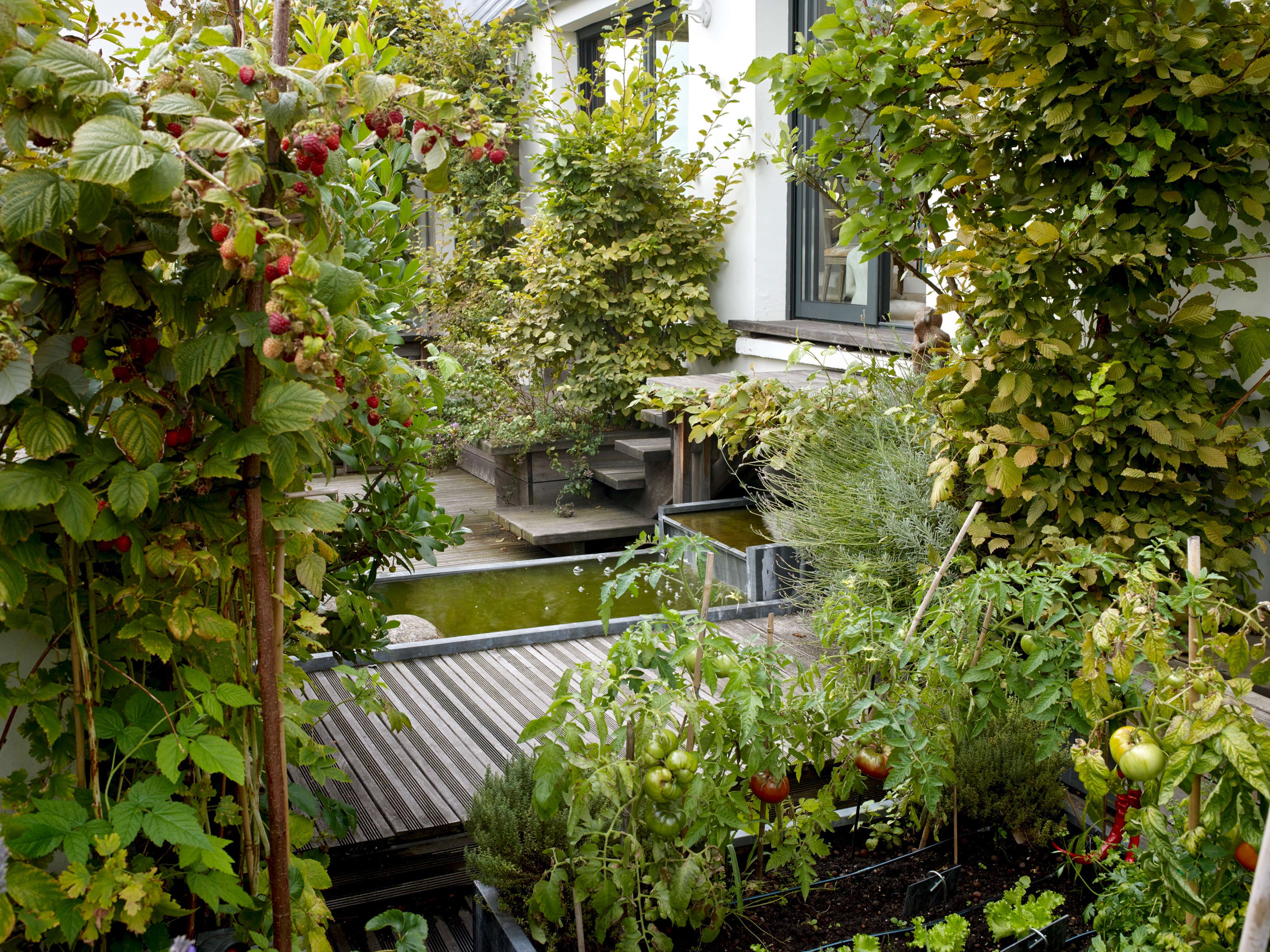 The Ultimate Secret Roof Garden