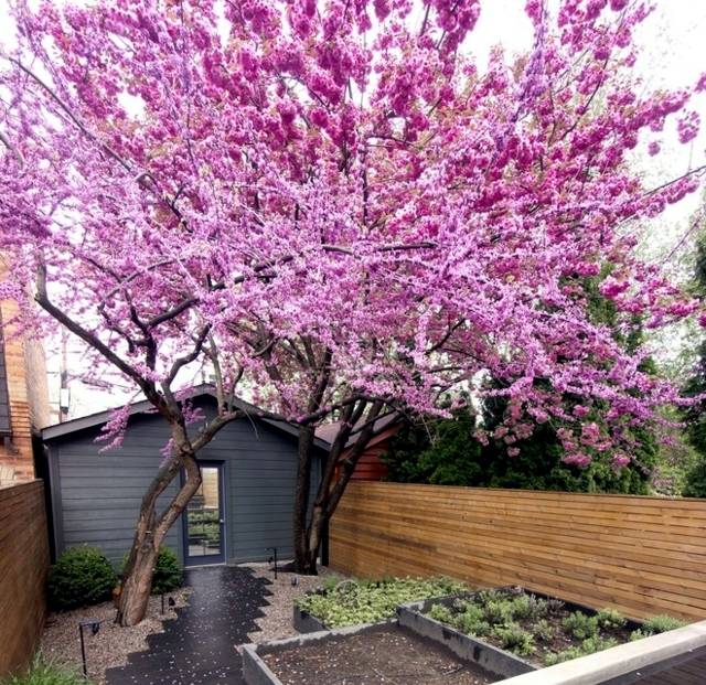 Best Small Garden Design Ideas