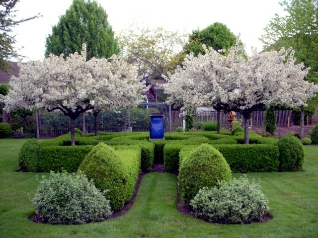 Landscaping Around Trees