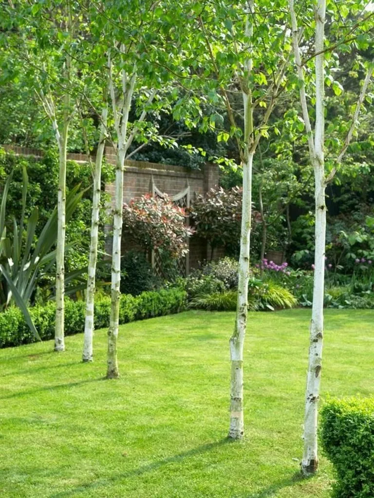 The Best Tree Ring Landscaping Ideas