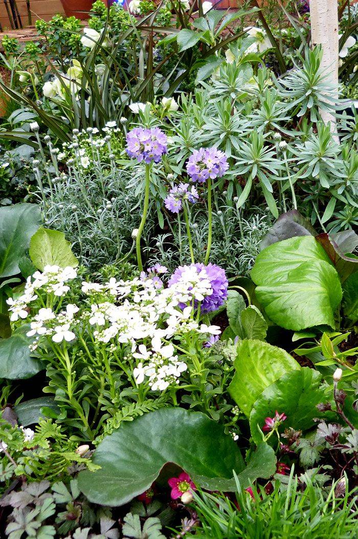 Small Garden Ideas