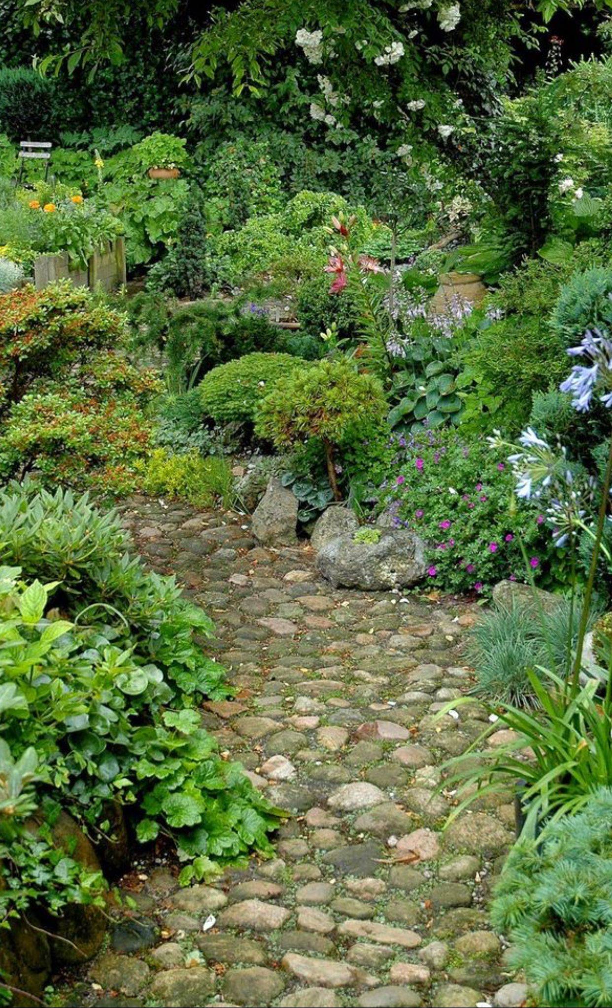 This Small Garden